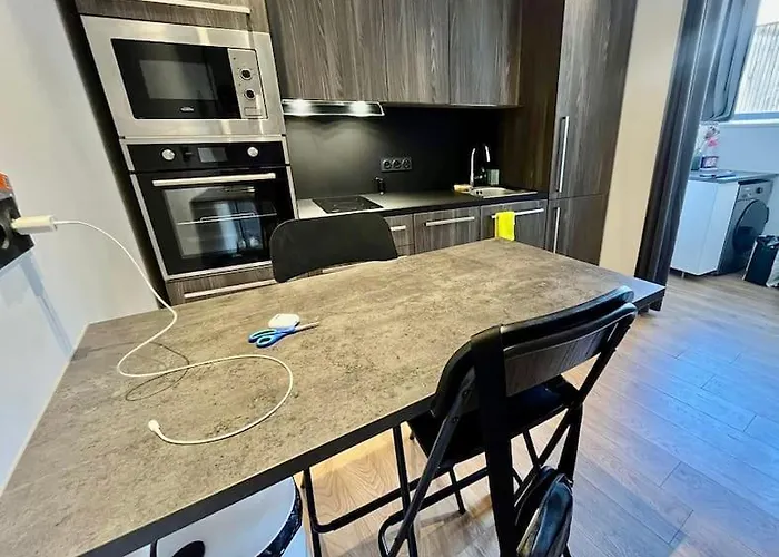 Excellent T1bis En Hyper Centre * גרנובל